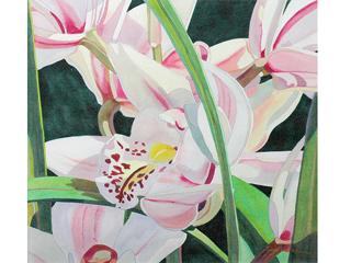 Cymbidium Orchid by Fabienne Blanc