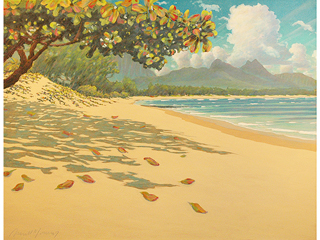 Shadows in Waimanalo by Russell Lowrey