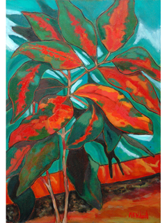 Crotons #3 by Anthony  Mendivil