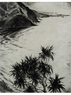 Pandanus by Huc Luquiens (1881-1961)