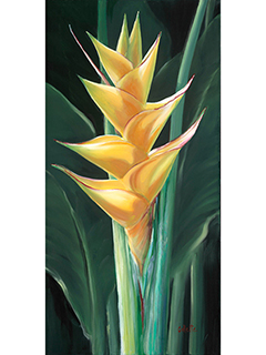 Yellow Heliconia by Carol Collette