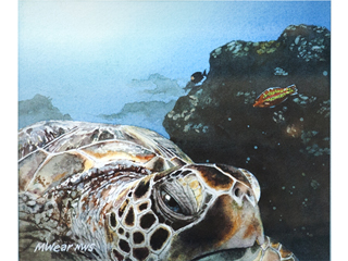 Honu with Christmas Wrasse by Marilyn Wear