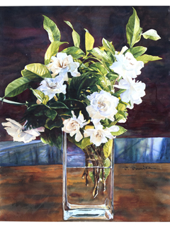 White Gardenia by Tom Tomita