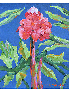 Torch Ginger by Linda Hutchinson