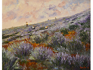 In Lavender Fields by Ed  Furuike