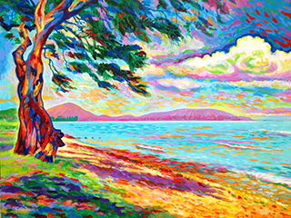 Maunalua Bay by David  Friedman