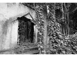 Halawa Valley Church Ruins - Molokai 1992 by Franco Salmoiraghi