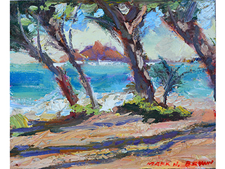 Waimanalo by Mark  Brown