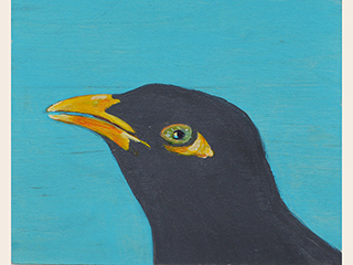 Mynah Two by Neida Bangerter