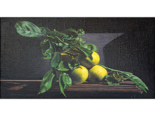 Meyer Lemon by Snowden Hodges