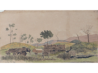Puakala by D. Howard Hitchcock (1861-1943)