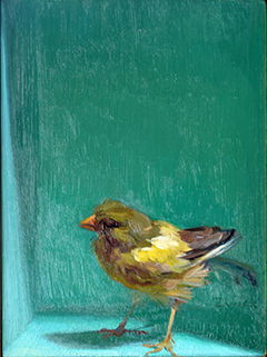 Bird in a Box by Bill Zwick