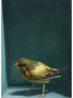 Bird in a Box II by Bill Zwick