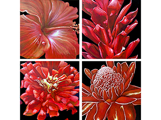 The Reds by Sandra Blazel