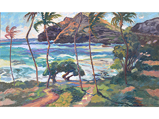 Makapu'u in Motion by Mark  Brown