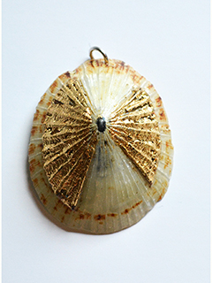 Opihi Shell Pendant #2 by Marshall Kary