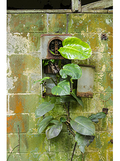 Meter Box by Debra Casey