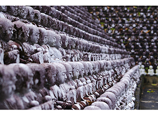 Children of Buddha #1 by Debra Casey