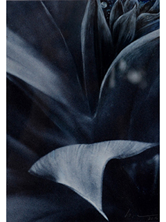 Silver Moon by Loreen Matsushima