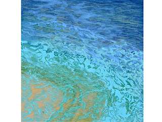 Evolution III by Laurie McKeon