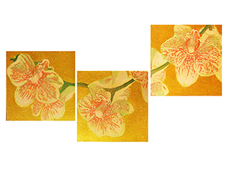 Orchid 1 by Russell Lowrey (View 2)