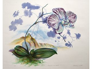 My Fathers Last Orchid by David  Smith