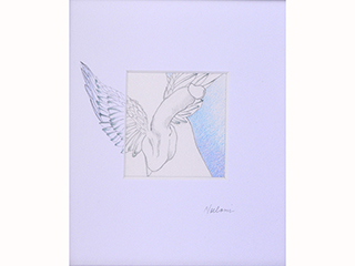 Pegasus Dreams by Noelani Block