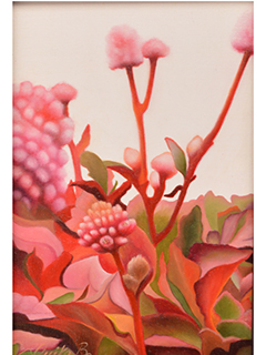 Pink Headed Persicaria by Erika Krayman