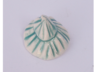 Seashell by Mariko Merritt