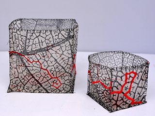 Veins II (set) by Madeleine Soder