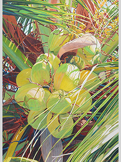 Coconut Palms  by Fabienne Blanc
