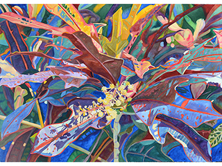 Croton Flowers by Fabienne Blanc