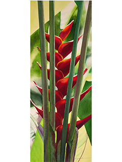 Red Heliconia by Kathleen Alexander