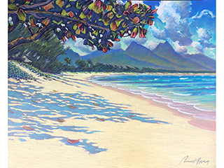 Kailua Beach and Shade by Russell Lowrey