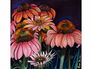 Echinacea Blooms by Marcia Franklin
