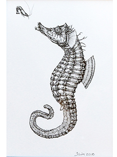 Scampi by Jeffrey Lim