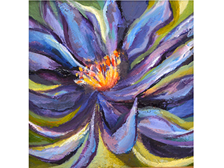 Wild Flower by Amy  Markham