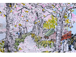 Osaka in Bloom by Dawn  Yoshimura