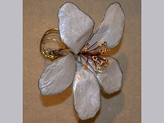 White Hibiscus by Donna Zarbin Byrne