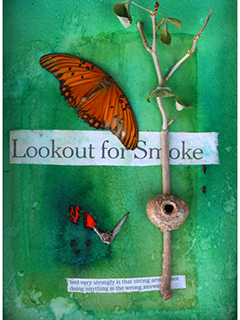 Look Out for Smoke by Rebecca Horne