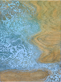 Evolution XVII by Laurie McKeon