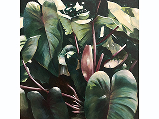 Kalo Lights and Shadows by Sandra Blazel
