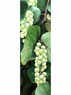 Kawela Pearls by Sandra Blazel