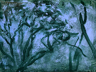 Forest Configuration I - Study by Noreen Naughton