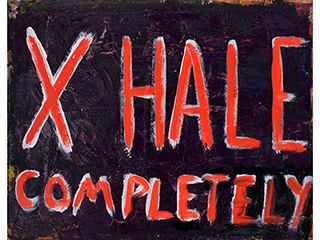 X-Hale Completely by Dieter Runge