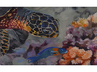 Lunch with Friends : Honu and saddle wrasse by Wendy Roberts
