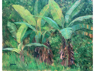 Banana Patch in Makiki by Fred  Salmon